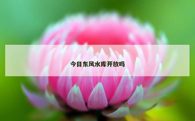 今日东风水库开放吗