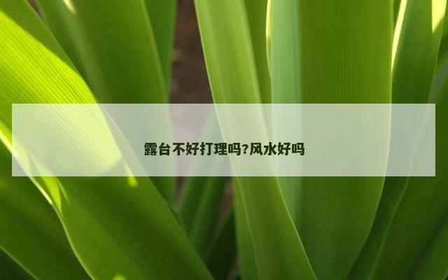 露台不好打理吗?风水好吗