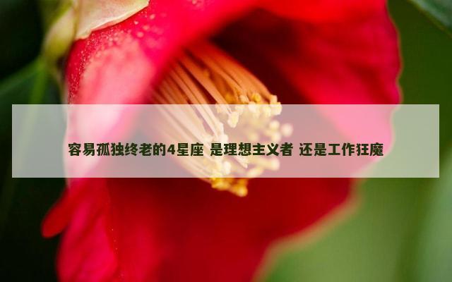 容易孤独终老的4星座 是理想主义者 还是工作狂魔