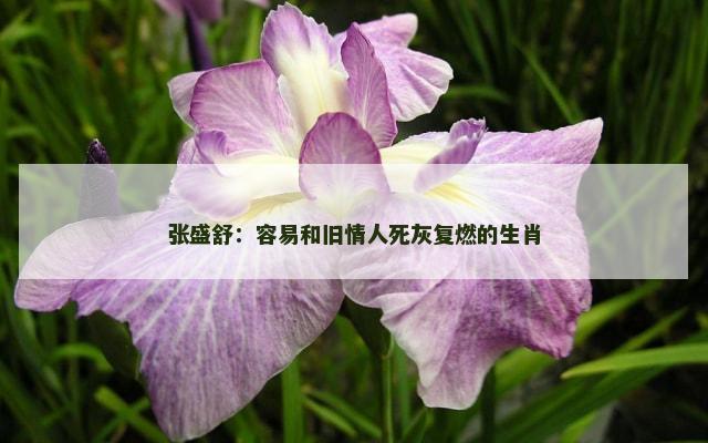 张盛舒：容易和旧情人死灰复燃的生肖