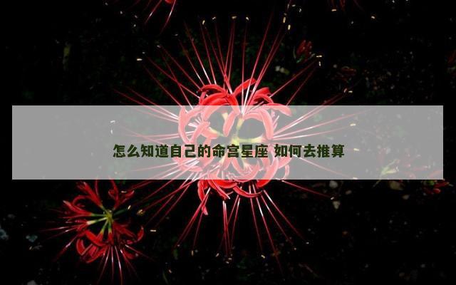 怎么知道自己的命宫星座 如何去推算