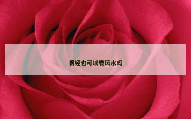 易经也可以看风水吗