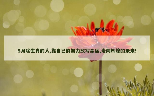 5月啥生肖的人,靠自己的努力改写命运,走向辉煌的未来!