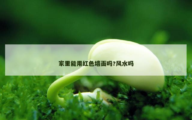 家里能用红色墙面吗?风水吗