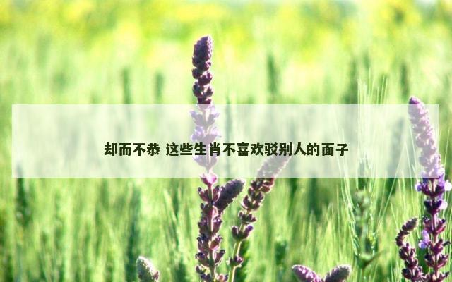 却而不恭 这些生肖不喜欢驳别人的面子