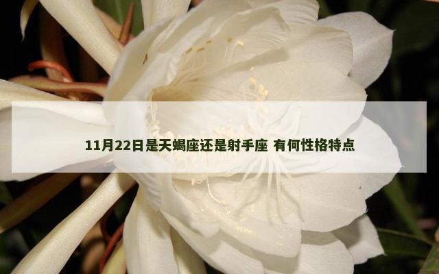 11月22日是天蝎座还是射手座 有何性格特点