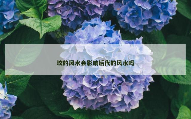 坟的风水会影响后代的风水吗