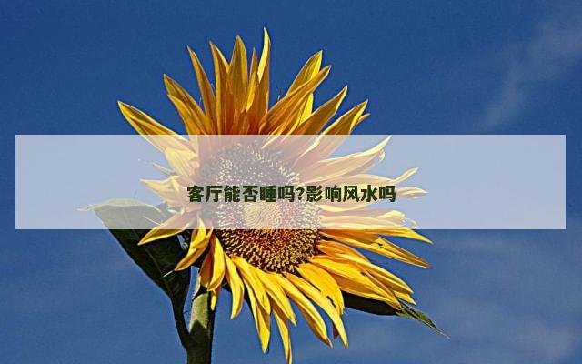 客厅能否睡吗?影响风水吗