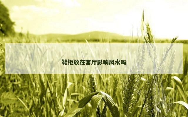 鞋柜放在客厅影响风水吗