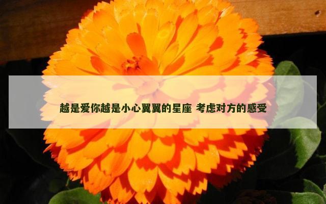 越是爱你越是小心翼翼的星座 考虑对方的感受