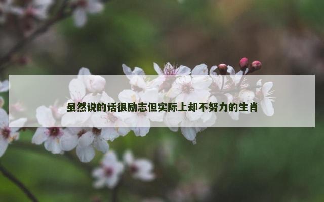 虽然说的话很励志但实际上却不努力的生肖