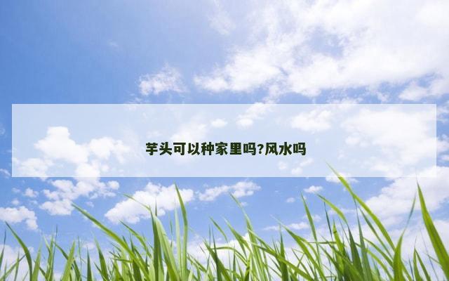 芋头可以种家里吗?风水吗