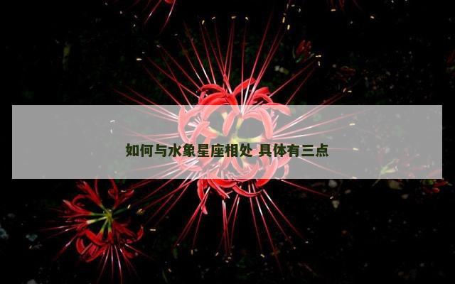 如何与水象星座相处 具体有三点
