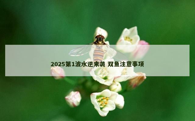 2025第1波水逆来袭 双鱼注意事项