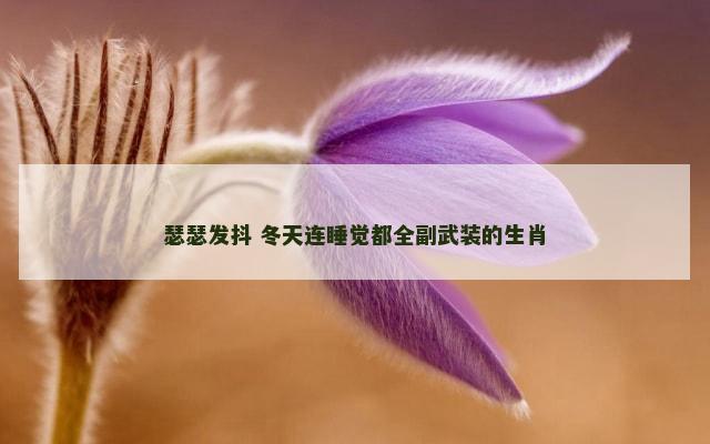 瑟瑟发抖 冬天连睡觉都全副武装的生肖