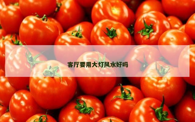 客厅要用大灯风水好吗