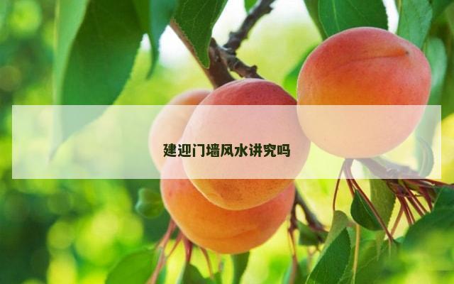 建迎门墙风水讲究吗
