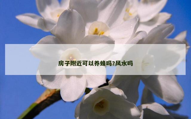 房子附近可以养蜂吗?风水吗