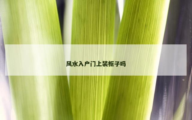 风水入户门上装柜子吗