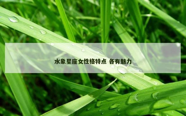 水象星座女性格特点 各有魅力