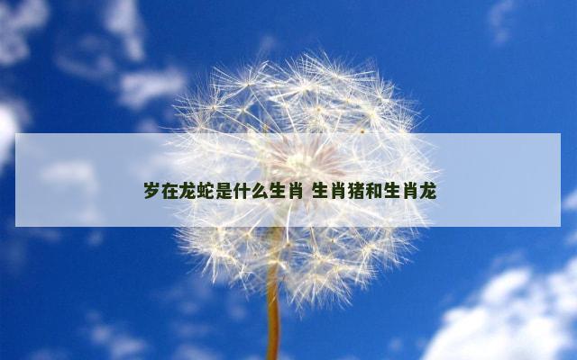 岁在龙蛇是什么生肖 生肖猪和生肖龙