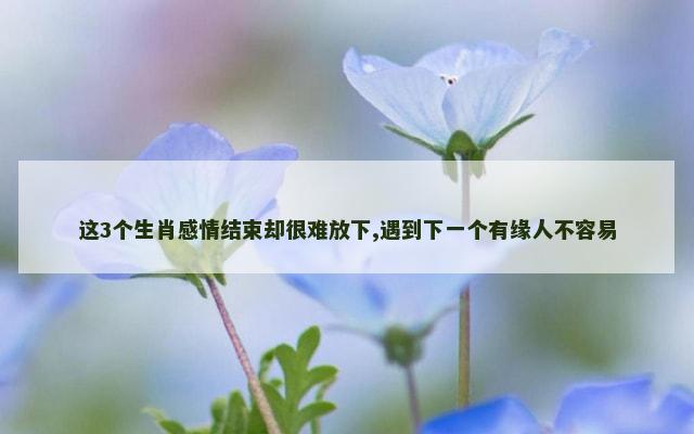 这3个生肖感情结束却很难放下,遇到下一个有缘人不容易