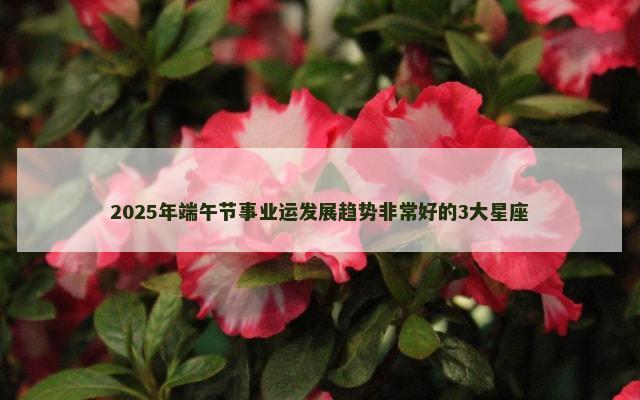 2025年端午节事业运发展趋势非常好的3大星座