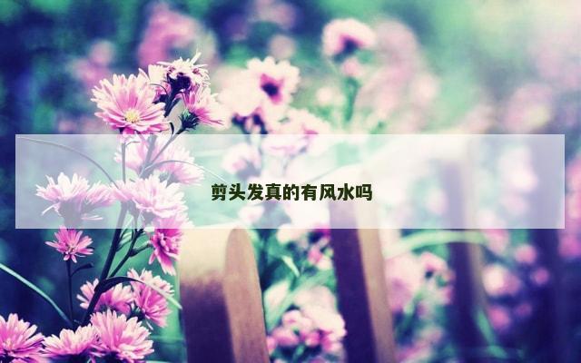 剪头发真的有风水吗