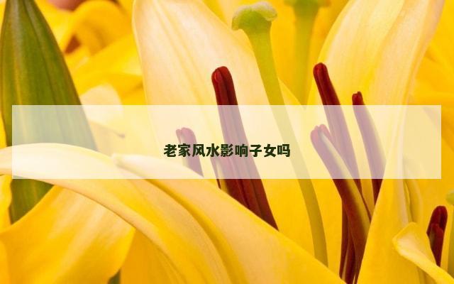 老家风水影响子女吗