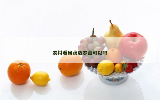 农村看风水放罗盘可以吗