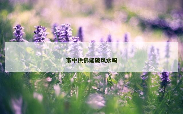 家中供佛能破风水吗