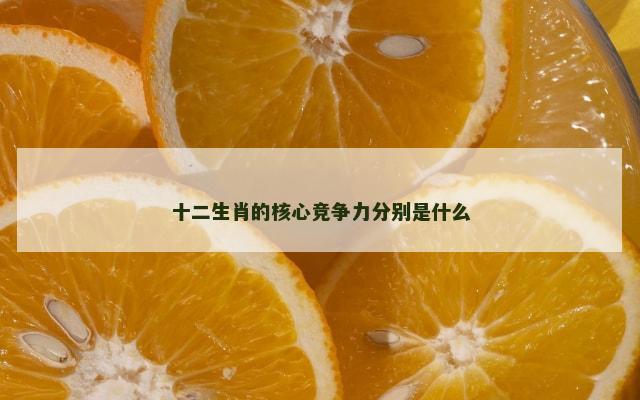 十二生肖的核心竞争力分别是什么