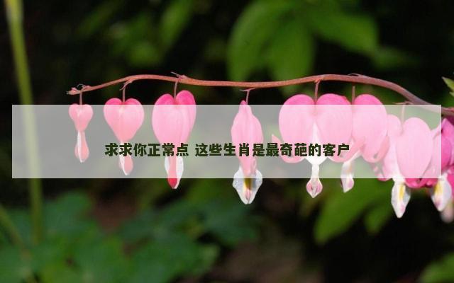 求求你正常点 这些生肖是最奇葩的客户
