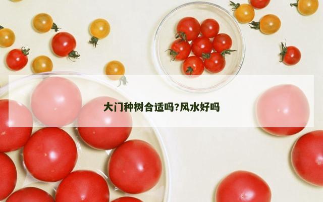 大门种树合适吗?风水好吗