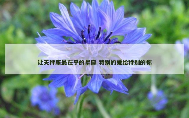 让天秤座最在乎的星座 特别的爱给特别的你