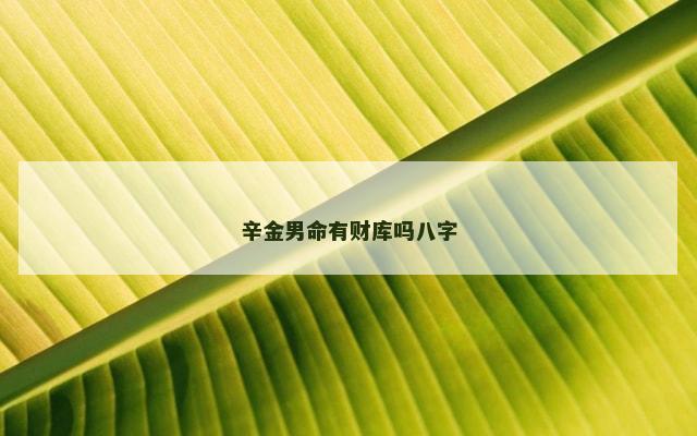 辛金男命有财库吗八字