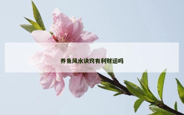 养鱼风水诀窍有利财运吗
