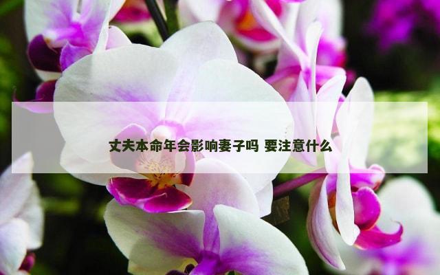 丈夫本命年会影响妻子吗 要注意什么