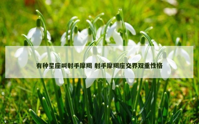 有种星座叫射手摩羯 射手摩羯座交界双重性格