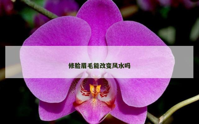 修脸眉毛能改变风水吗
