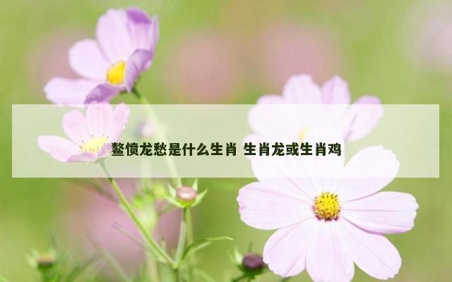 鳌愤龙愁是什么生肖 生肖龙或生肖鸡