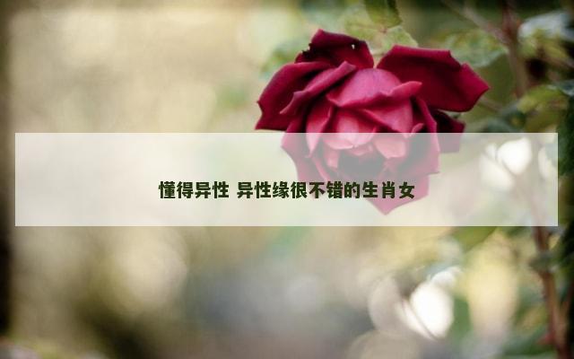 懂得异性 异性缘很不错的生肖女