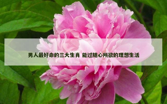 男人最好命的三大生肖 能过随心所欲的理想生活