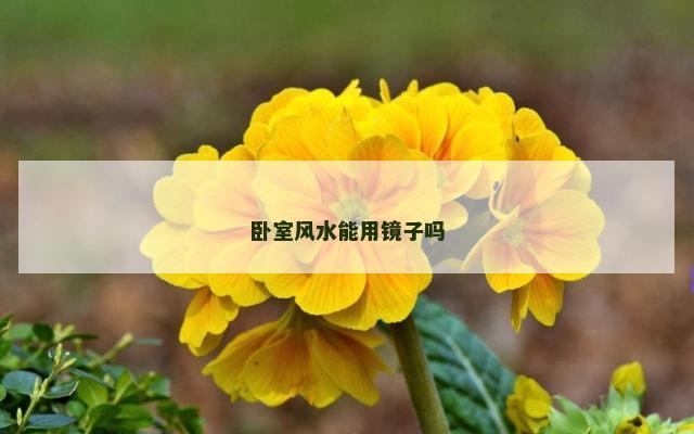 卧室风水能用镜子吗