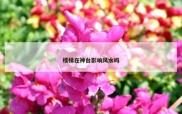 楼梯在神台影响风水吗