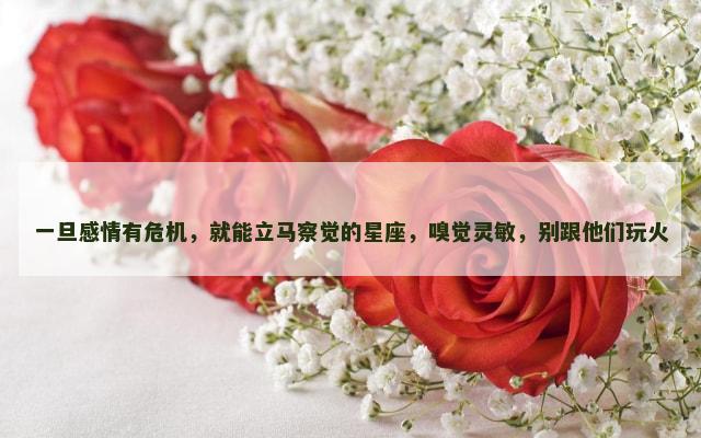 一旦感情有危机，就能立马察觉的星座，嗅觉灵敏，别跟他们玩火