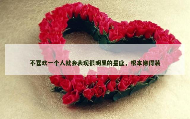 不喜欢一个人就会表现很明显的星座，根本懒得装