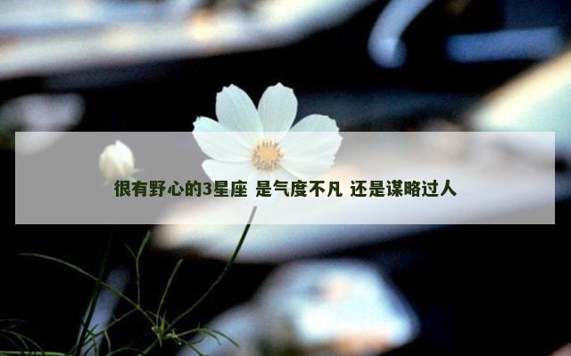 很有野心的3星座 是气度不凡 还是谋略过人