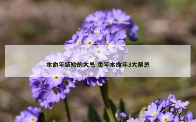 本命年结婚的大忌 兔年本命年3大禁忌