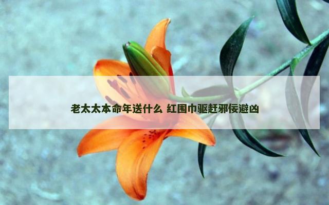 老太太本命年送什么 红围巾驱赶邪佞避凶